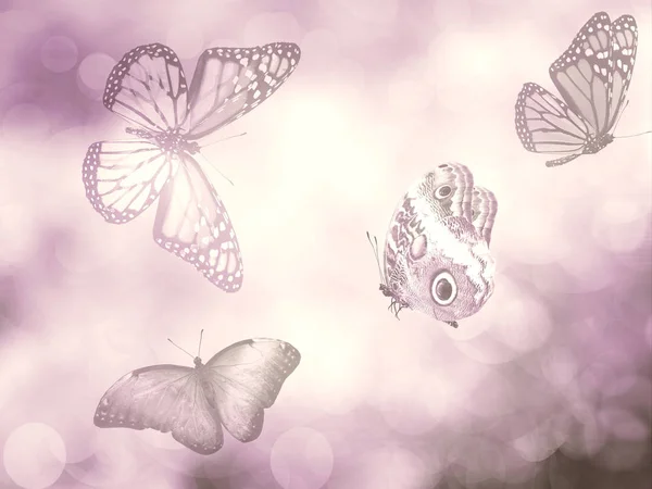 Naturalne Tło Motylem — Zdjęcie stockowe