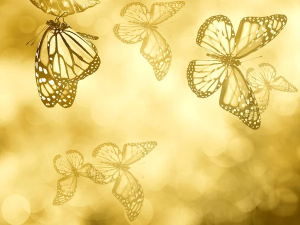 Природний Фон Метеликом — стокове фото