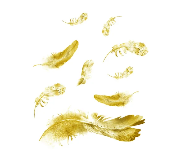 Watercolor Feathers Isolated White Background — Stock Photo, Image