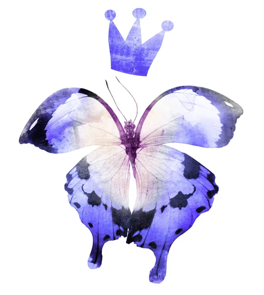 Farfalla Acquerello Con Corona Isolata Bianco — Foto Stock