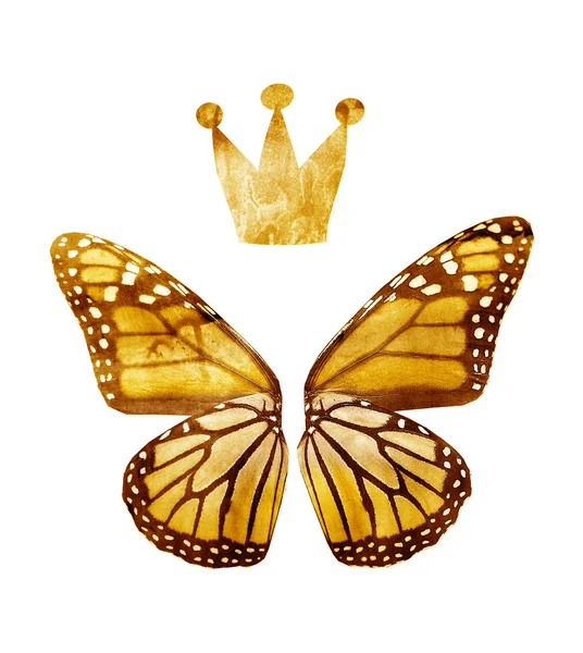 Akvarell Fjäril Med Krona Isolerad Vit — Stockfoto