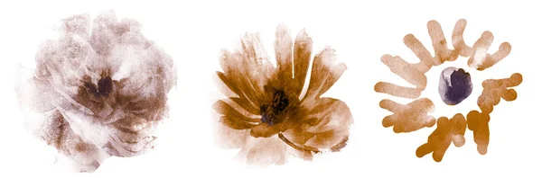 Três Flores Aquarela Branco Conjunto — Fotografia de Stock