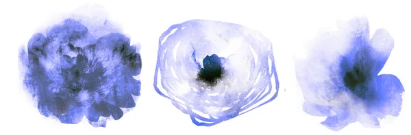 Drei Aquarellblumen Auf Weiß Eingestellt — Stockfoto