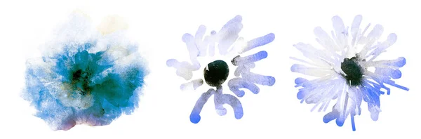 Три Акварельные Цветы Белом Набор — стоковое фото