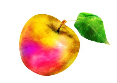 Beyaz üzerine suluboya elma. Siluet 