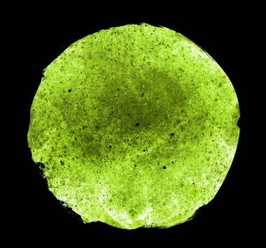 Arkaplan olarak beyaz üzerine suluboya daire