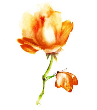 Beyaz kelebekli suluboya çiçek