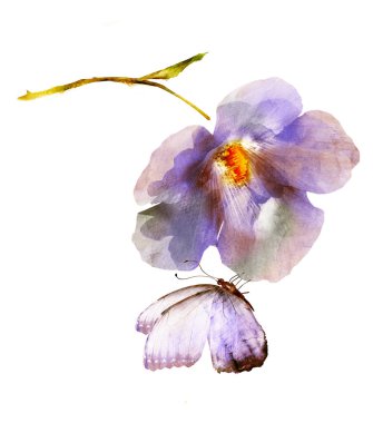 Beyaz kelebekli suluboya çiçek