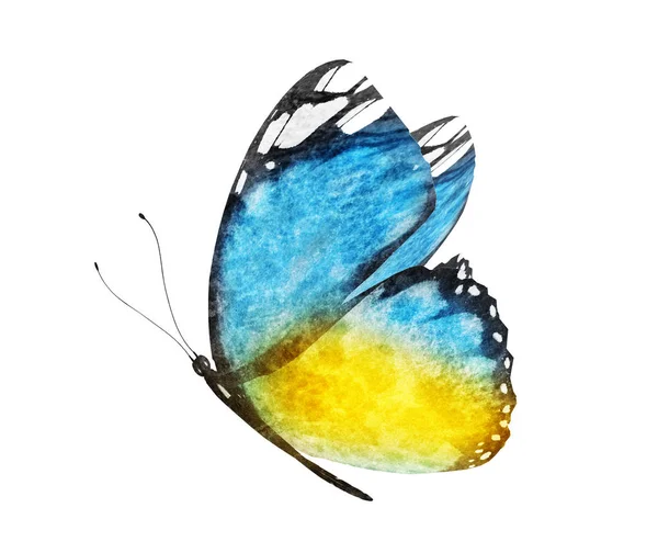 Papillon Aquarelle Isolé Sur Fond Blanc — Photo