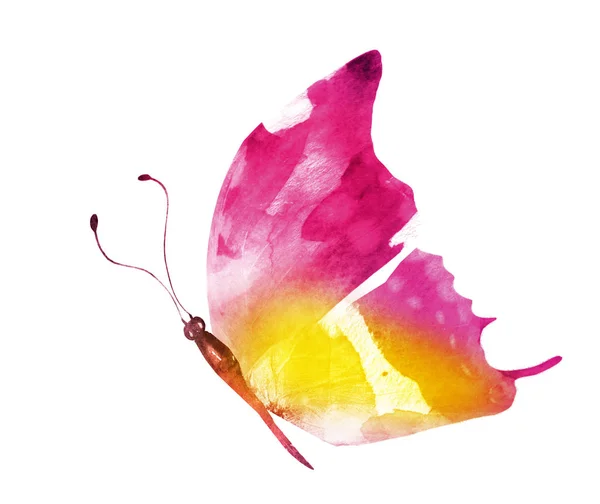 Motýl Akvarel Izolovaný Bílém Pozadí — Stock fotografie