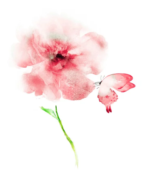 Aquarelle Fleur Avec Papillon Sur Blanc — Photo