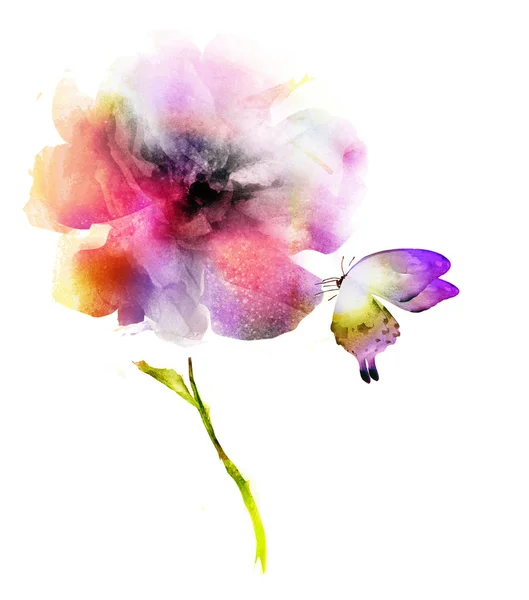 나비와 수채화 — 스톡 사진