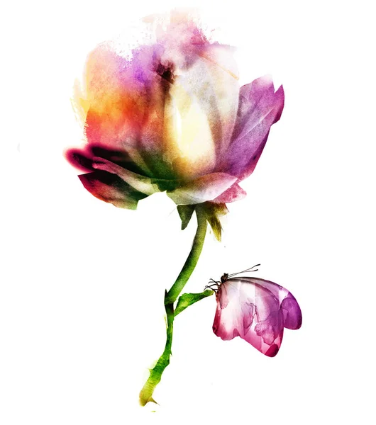 Цветок Акварели Бабочкой Белом — стоковое фото
