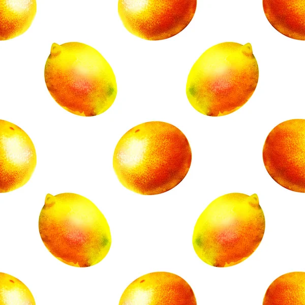柑橘无缝制水彩图案 — 图库照片