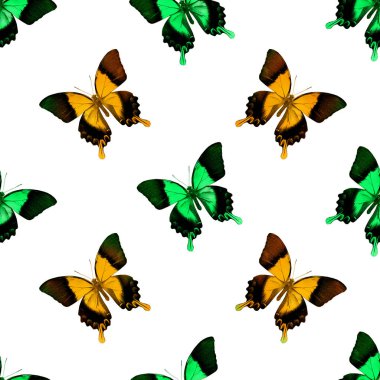 Kelebeklerle kusursuz desen