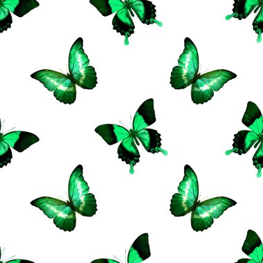 Kelebeklerle kusursuz desen