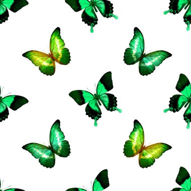 Kelebeklerle kusursuz desen