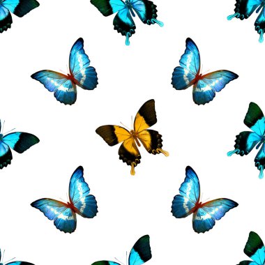 Kelebeklerle kusursuz desen