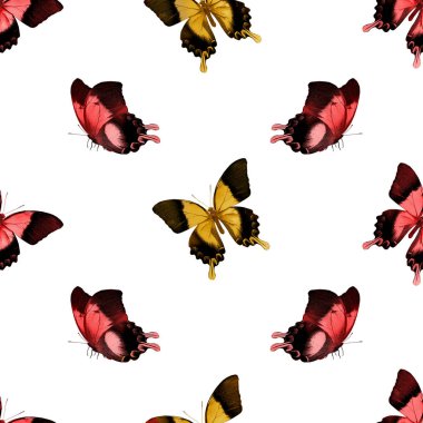 Kelebeklerle kusursuz desen