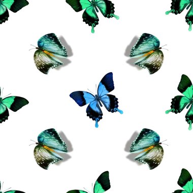 Kelebeklerle kusursuz desen