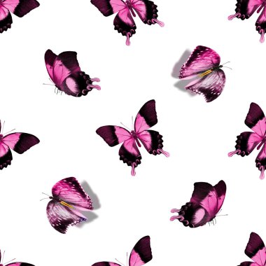 Kelebeklerle kusursuz desen