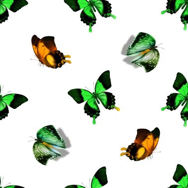 Kelebeklerle kusursuz desen