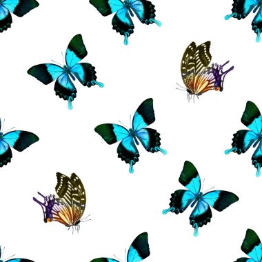 Kelebeklerle kusursuz desen