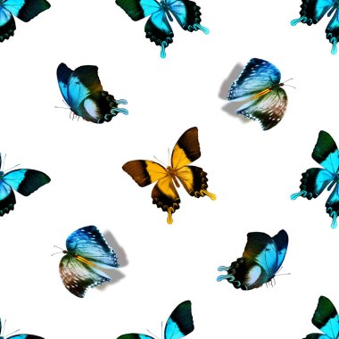 Kelebeklerle kusursuz desen