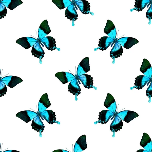 Bezešvé Vzory Motýly — Stock fotografie