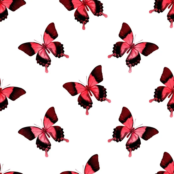 Kelebeklerle kusursuz desen