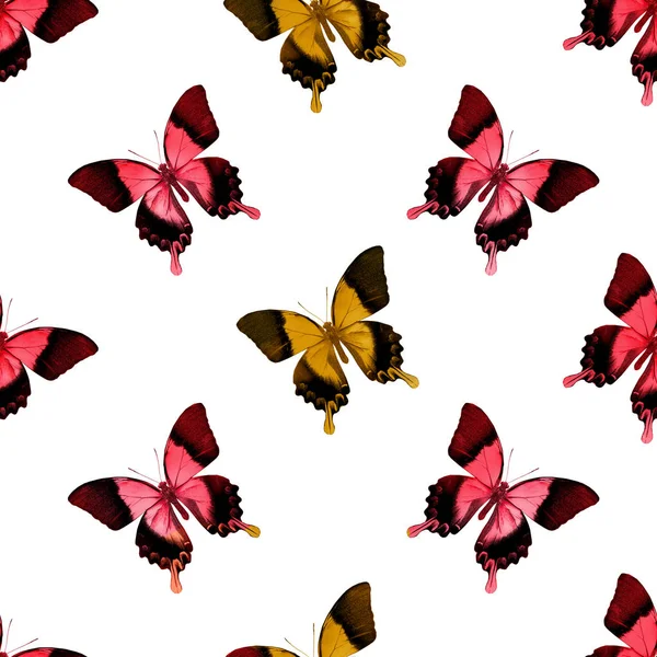 Bezešvé Vzory Motýly — Stock fotografie