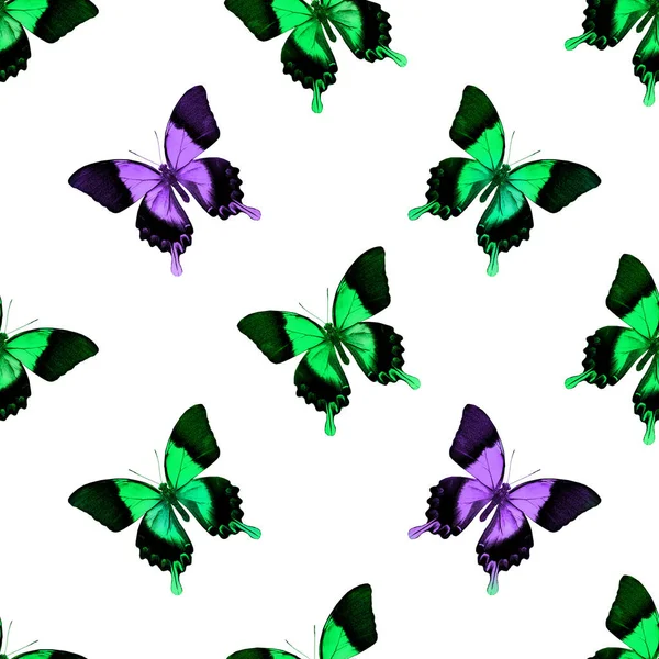 Nahtloses Muster Mit Schmetterlingen — Stockfoto