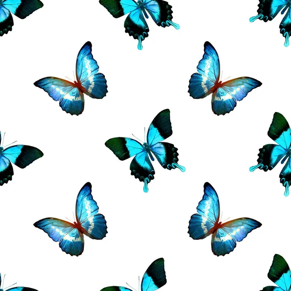 Kelebeklerle kusursuz desen