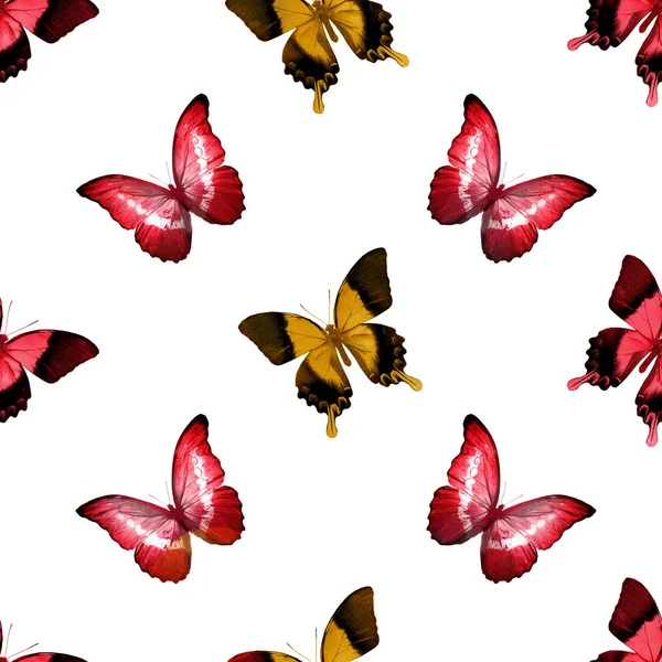 Seamless Pattern Butterflies — Stock Photo, Image