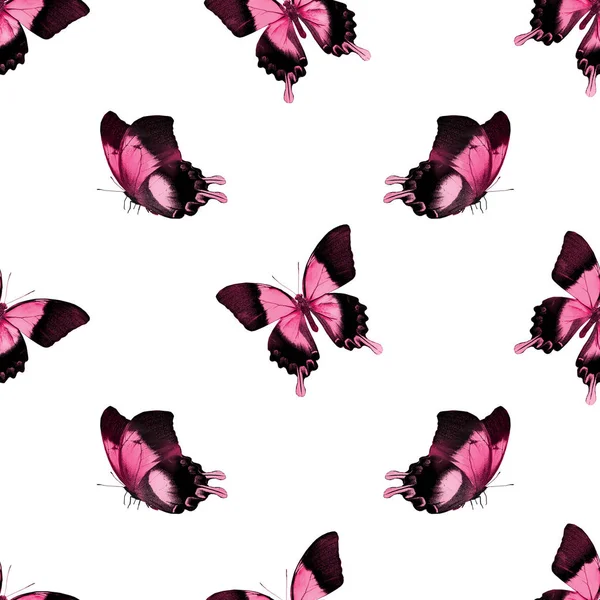 Seamless Pattern Butterflies — Stock Photo, Image