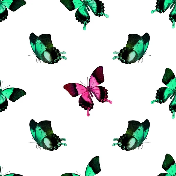 Płynny Wzór Motylami — Zdjęcie stockowe