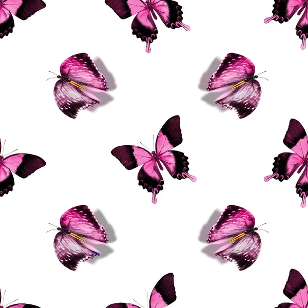 Απρόσκοπτη Μοτίβο Πεταλούδες — Φωτογραφία Αρχείου