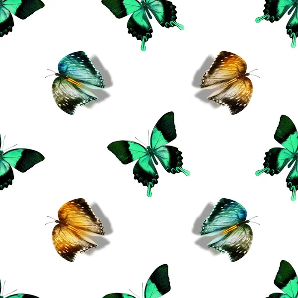 Patrón Sin Costuras Con Mariposas —  Fotos de Stock