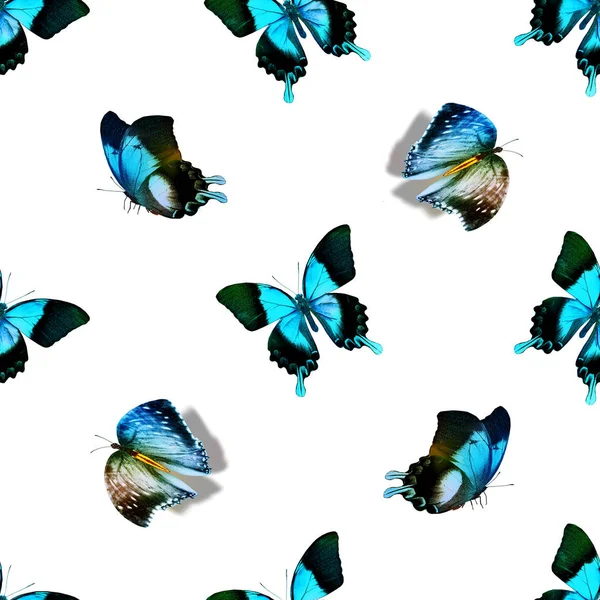 Modello Senza Cuciture Con Farfalle — Foto Stock
