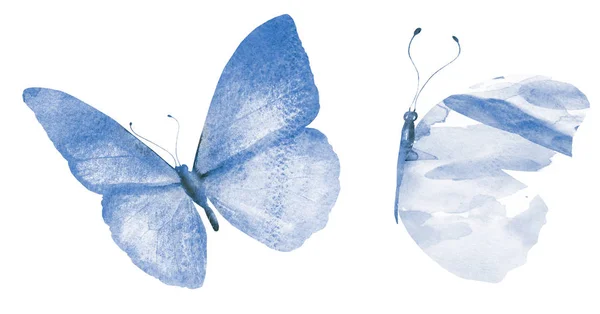 Két Akvarell Pillangók Elszigetelt Fehér Háttér — Stock Fotó
