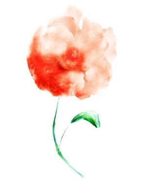 Suluboya çiçeği, beyaz arkaplanda izole