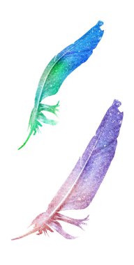 Suluboya tüyleri, beyaz arkaplanda izole