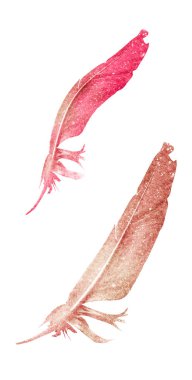 Suluboya tüyleri, beyaz arkaplanda izole