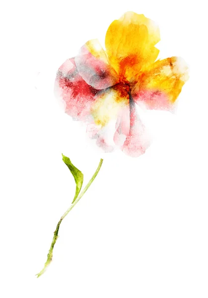 Fleur Aquarelle Isolée Sur Fond Blanc — Photo