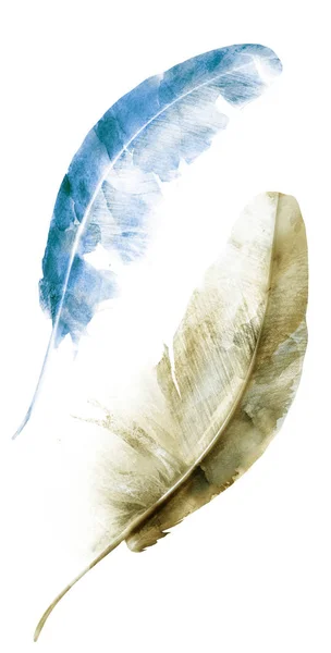 Watercolor Feathers Isolated White Background — Stock Photo, Image