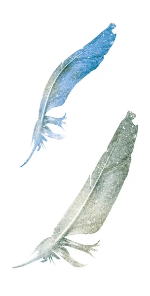 Pióra Akwarelowe Izolowane Białym Tle — Zdjęcie stockowe