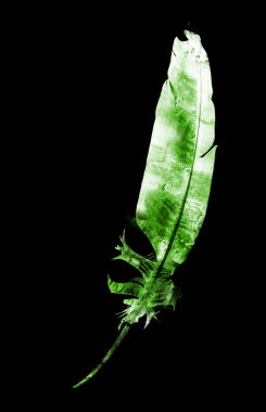 beyaz üzerine suluboya tüy