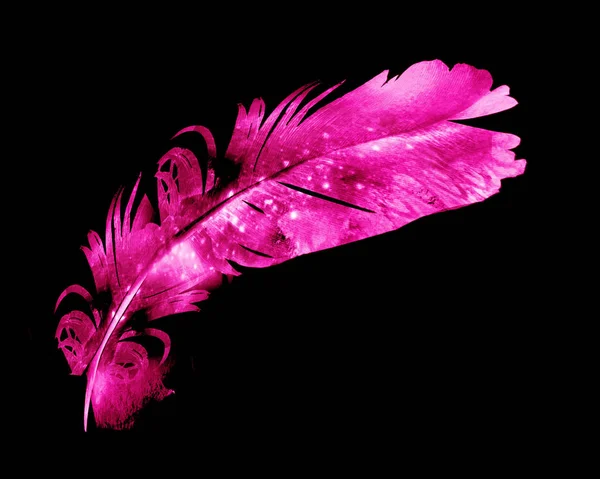 Watercolor Feather Black — Stock Photo, Image