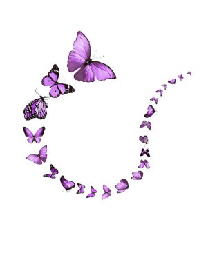 Uçan kelebek sürüsü beyazlar üzerinde izole edilmiş.