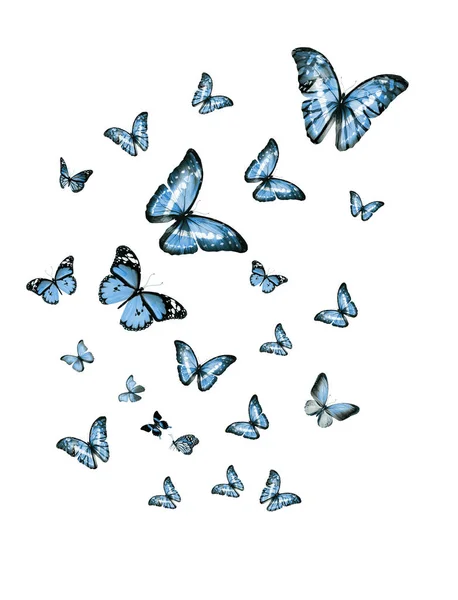 Σμήνη Ιπτάμενων Πεταλούδων Που Απομονώνονται Λευκό — Φωτογραφία Αρχείου